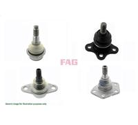 FAG 825 0507 10 Ball Joint