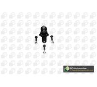 Ball Joint Fits Ford Focus BGA SJ2310