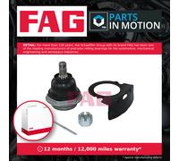 FAG 825 0423 10 Ball Joint