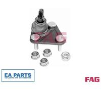 Ball Joint for AUDI A3 TT FAG 825 0177 10