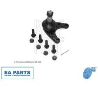 Ball Joint for FORD RANGER BLUE PRINT ADM58686