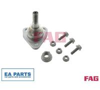 Ball Joint for FSO 125P POLONEZ FAG 825 0186 10
