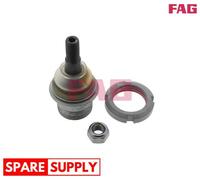 BALL JOINT FOR MERCEDES-BENZ W163 FAG 825 0079 10