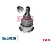 FAG 825 0313 10 Ball Joint