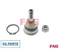Ball Joint for NISSAN 100NX 200SX ALMERA HIKARI FAG 825 0229 10