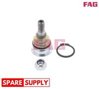 BALL JOINT FOR NISSAN ALMERA PRIMERA PULSAR Q BIC FAG 825 0227 10