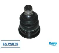 Ball Joint for SSANGYONG RODIUS I STAVIC RODIUS II VAN KAVO PARTS SBJ-7501