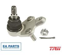 Ball Joint for TOYOTA COROLLA Verso TRW JBJ1079