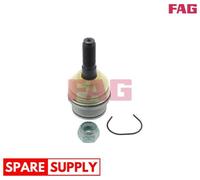 BALL JOINT FOR VW CALIFORNIA T4 CAMPER CARAVELLE T4 BUS FAG 825 0354 10