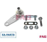Ball Joint for VW CARAT CORSAR DASHER PASSAT FAG 825 0135 10