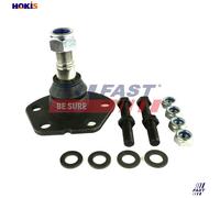 Fits Fiat Ducato Peugeot Boxer Citroen Relay Q18 Front Lower Ball Joint