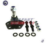 Fits Fiat Ducato Peugeot Boxer Citroen Relay Q18 Front Lower Ball Joint