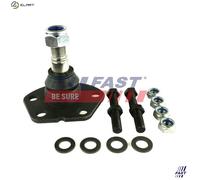Fits Fiat Ducato Peugeot Boxer Citroen Relay Q18 Front Lower Ball Joint