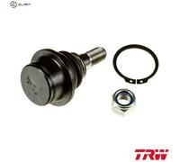 BALL JOINT JBJ1077 FOR FORD TRANSIT/Bus/Van/Platform/Chassis/TOURNEO H9FD 2.4L