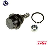 TRW JBJ1077 Ball Joint