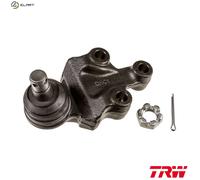 BALL JOINT JBJ1156 FOR KIA D4CB 2.5L G4JS 2.4L 4cyl SORENTO IG6CU 3.5L 6cyl