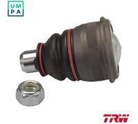 TRW JBJ165 Ball Joint