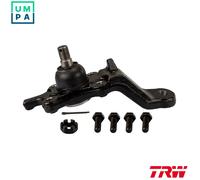 TRW JBJ559 Ball Joint