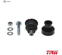 TRW Wishbone Pin JBJ723 - Fits Nissan Note, Micra III & Micra C+C III