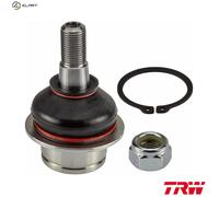 TRW JBJ730 Ball Joint