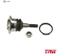 TRW JBJ829 Ball Joint