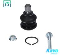KAVO PARTS SBJ-10085 Ball Joint
