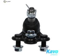 KAVO PARTS SBJ-2013 Ball Joint
