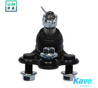 KAVO PARTS SBJ-2013 Ball Joint
