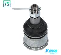 KAVO PARTS SBJ-2024 Ball Joint