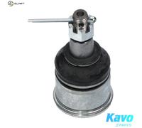 KAVO PARTS SBJ-2024 Ball Joint