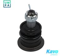 KAVO PARTS SBJ-3020 Ball Joint