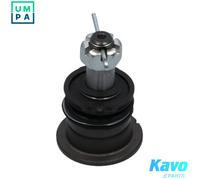KAVO PARTS SBJ-3020 Ball Joint