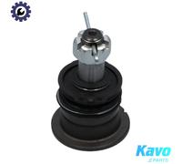 KAVO PARTS SBJ-3020 Ball Joint