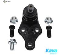 KAVO PARTS SBJ-3034 Ball Joint