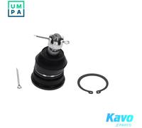 KAVO PARTS SBJ-3035 Ball Joint