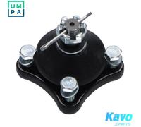 Wishbone Pin for control arm SBJ-5516 KAVO PARTS for MITSUBISHI PAJERO/SHOGUN IV