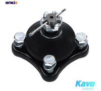 Wishbone Pin for control arm SBJ-5516 KAVO PARTS for MITSUBISHI PAJERO/SHOGUN IV