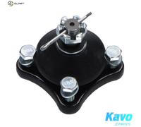 Wishbone Pin for control arm SBJ-5516 KAVO PARTS for MITSUBISHI PAJERO/SHOGUN IV