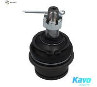 KAVO PARTS SBJ-6555 Ball Joint