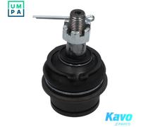 KAVO PARTS SBJ-6555 Ball Joint