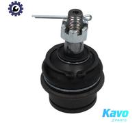 KAVO PARTS SBJ-6555 Ball Joint