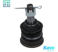 BALL JOINT SBJ-6560 FOR NISSAN K10 B 1.0L 3cyl PIXO