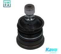 BALL JOINT SBJ-7501 FOR SSANGYONG STAVIC/II TURISMO/KORANDO RODIUS 2.0L 4cyl
