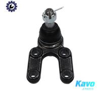 KAVO PARTS SBJ-7503 Ball Joint