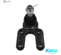 KAVO PARTS SBJ-7503 Ball Joint