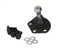 Ball Joint TRW JBJ277 for FIAT DUCATO Van (230_) 2 2001-2002
