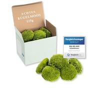 Ball moss light green preserved | 125g Real bulb moss for moss pictures | Durable moss for handicrafts | Weatherproof light green Iceland moss