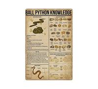 Ball Python Knowledge Metal Tin Signs Ball Python Infographic Posters Animal Encyclopedia Retro Plaques Home Classroom Office Wall Decor 12x16 Inches