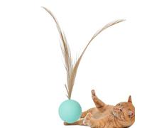 Ball Toy for Cats with Feather, Small Toy for Cats with Rubber Ball, Cat Chew Toy Ball, Elastic Solid Rubber, Bite Resistant, Pets, The Ball, Cats Play