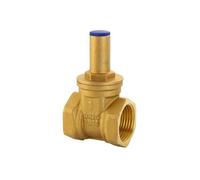Ball Valve 2pcs DN15 DN20 DN25 Brass Gate Valve with Lock Inside The Triangle Key Water Pipe Meter Front Anti-Theft for Flow Control(DN20)